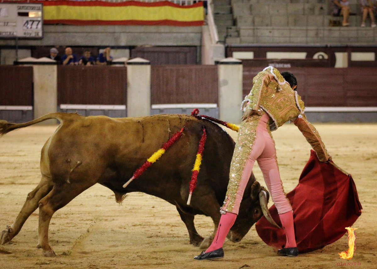 ▪️MADRID | Lo intenta #Juanito 
ante un toro protestado por el público al que le faltó raza y fuerza. 

#hoytoreajuanito 🤞🍀