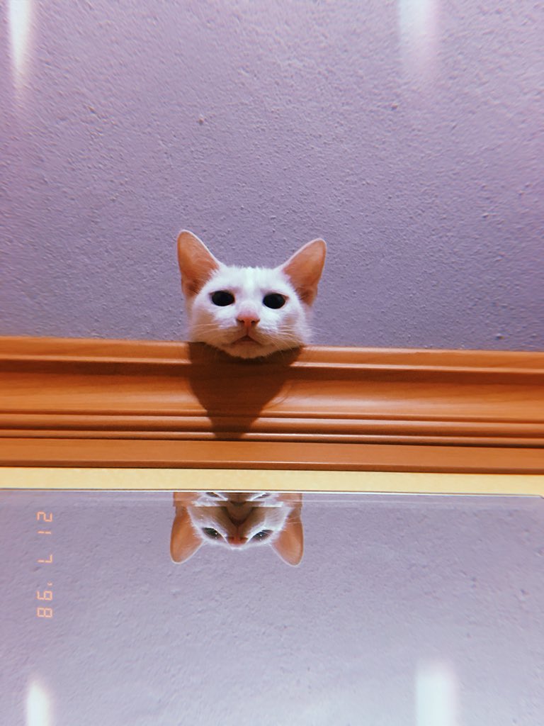 caaaiixx's tweet photo. Telefonumdaki en güzel 3 fotoğraf https://t.co/CQELY5TjKw
