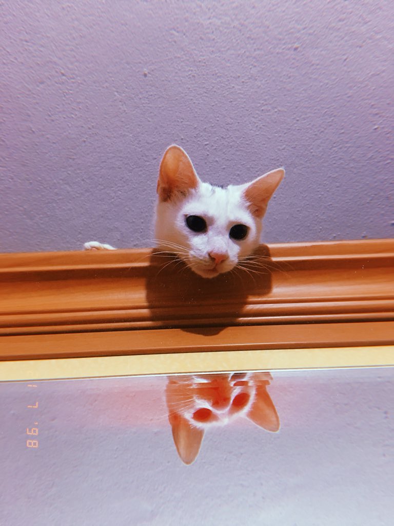 caaaiixx's tweet photo. Telefonumdaki en güzel 3 fotoğraf https://t.co/CQELY5TjKw