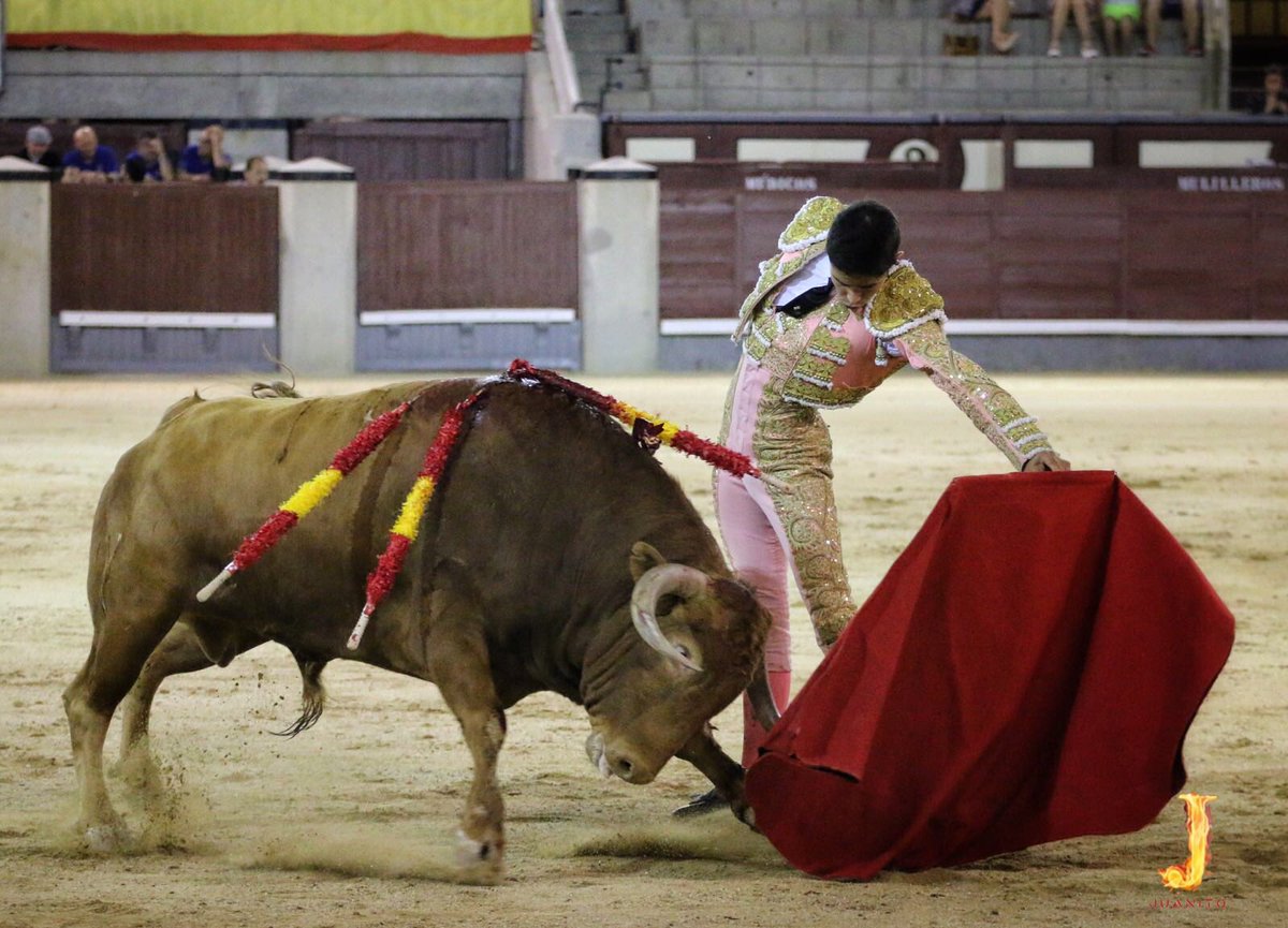 ▪️MADRID | Actitud, entrega, raza, firmeza y valor,  puso #Juanito en la tarde de hoy en las Ventas en la que se topó con un lote de nulas opciones para el triunfo. 

#hoytoreajuanito 🤞🍀