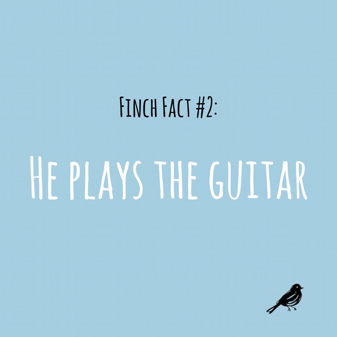 jenniferniven's tweet photo. Another #FinchFact will be here tomorrow! 🐦💜✨ Our Finch plays the guitar just like Finch does! He also plays the piano... 😉😌😏 I can’t wait for you all to meet him... 😭😍💛  @AllBrightPlaces #allthebrightplaces #TheodoreFinch #finch #foundfinch https://t.co/wCjhR7vwQQ
