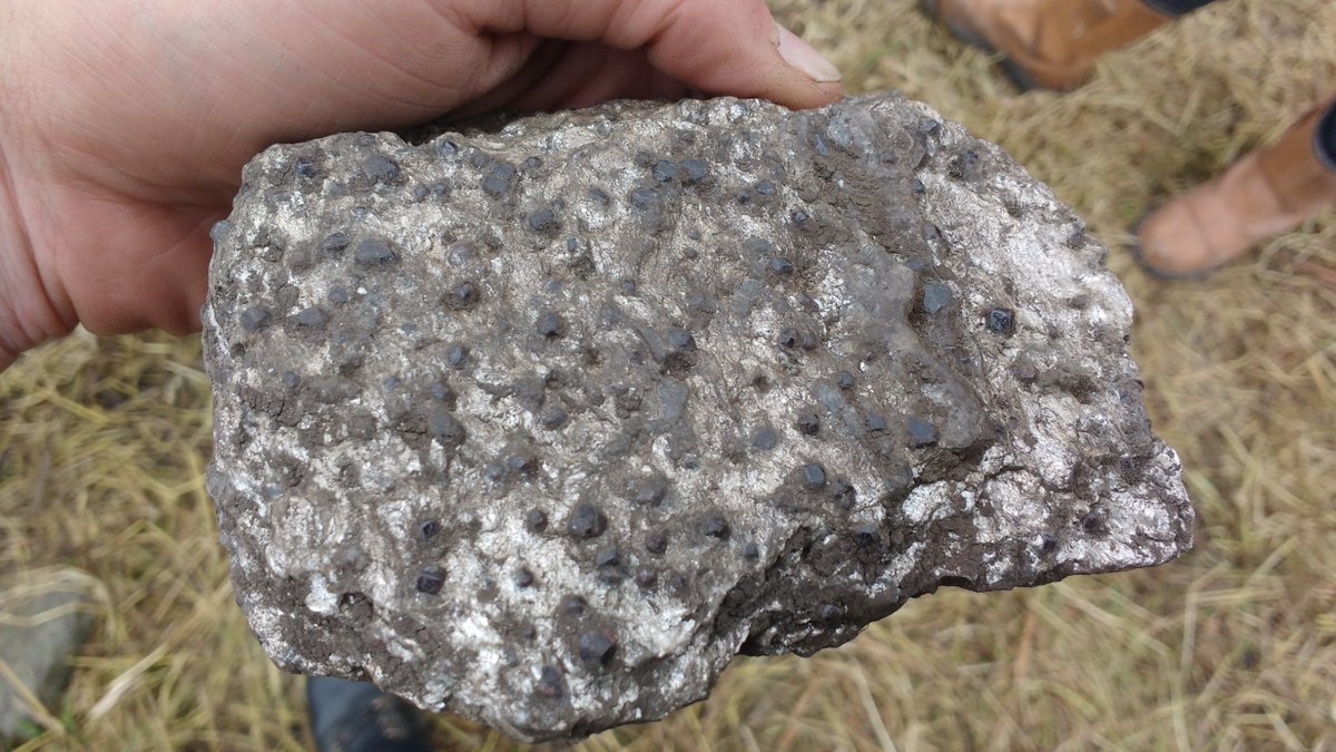 UHIArchaeology's tweet photo. #LuckOfTheIrish strikes again at Skaill as possible Norse finds deposit (indicated by Garnet Mica Schist) was found in Trench 22. 
#SkaillSaga #FindsOfTheWeek #FindsOfTheDay #Archaeology #Orkney 
@orkneycom @ThinkUHI @DigItScotland @HistEnvScot @OAS_Orkney @SPMA https://t.co/7Iazm2iqR3
