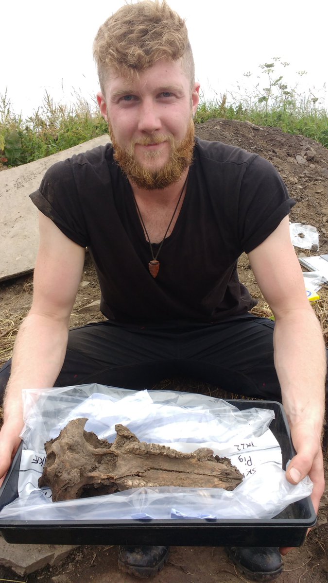 UHIArchaeology's tweet photo. #LuckOfTheIrish strikes again at Skaill as possible Norse finds deposit (indicated by Garnet Mica Schist) was found in Trench 22. 
#SkaillSaga #FindsOfTheWeek #FindsOfTheDay #Archaeology #Orkney 
@orkneycom @ThinkUHI @DigItScotland @HistEnvScot @OAS_Orkney @SPMA https://t.co/7Iazm2iqR3