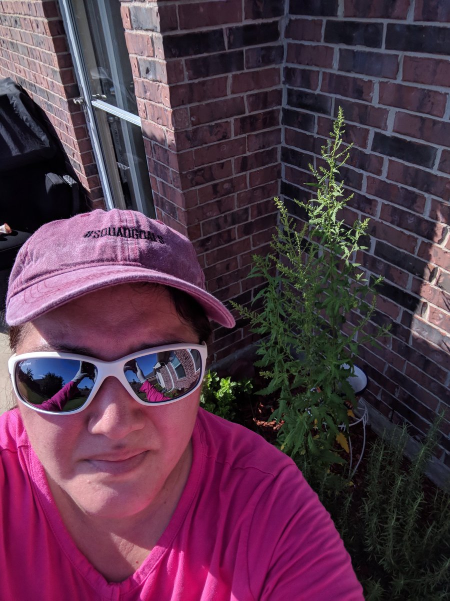 ClaraSikich's tweet photo. #AWsummerselfiebingo hat, sunglasses, and working in the garden moving stones, cleaning the front and back, after 4 hours cleaning I'm calling this a workout https://t.co/kLyi4Es6fl