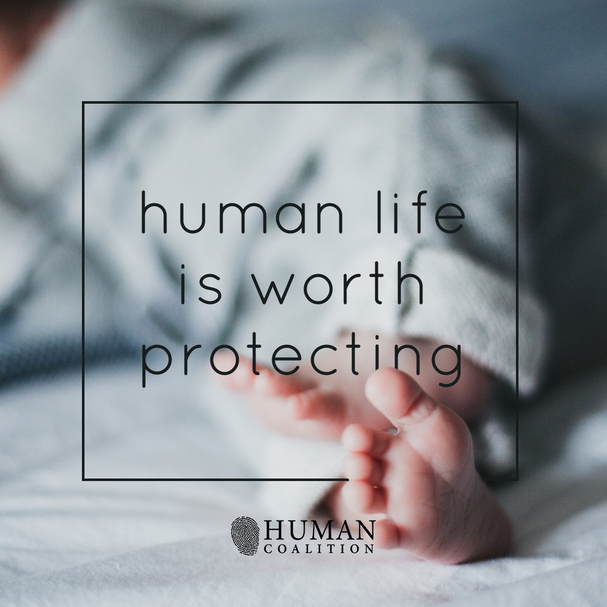 HumanCoalition's tweet photo. I am a human. Not an inconvenience. Not a problem. Not a mistake. Not a loss. Not a hindrance. My life is worth protecting. https://t.co/6lV12PXMuH