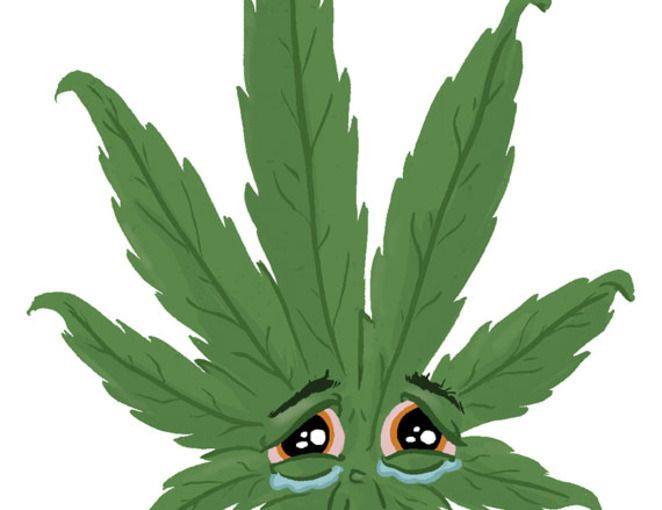 WeLeafNews's tweet photo. Elle est triste 😢 Elle demande juste à être légalisée...
#Cannabis #Chanvre #Marijuana #legalisation #weleaf #weleafnews https://t.co/aqsjMDxtDq