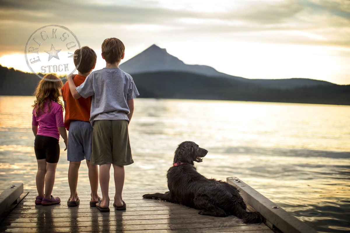 Erickson Stock tweet media