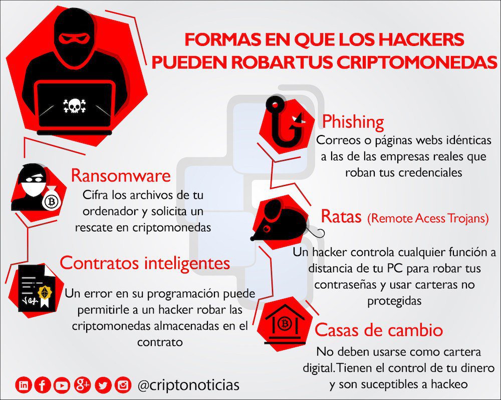 CriptoNoticias tweet media