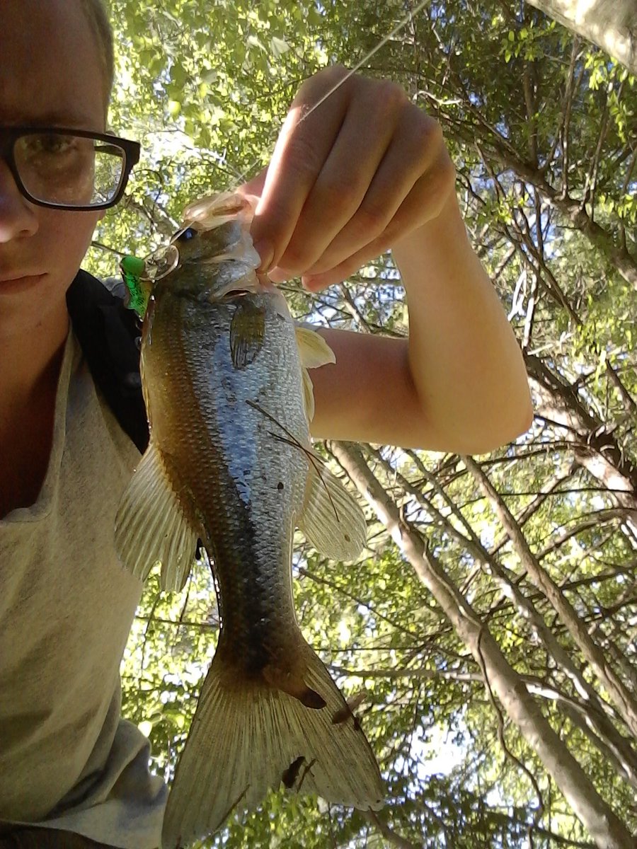 Decent late afternoon.  Both bass were caught on @RebelLures .