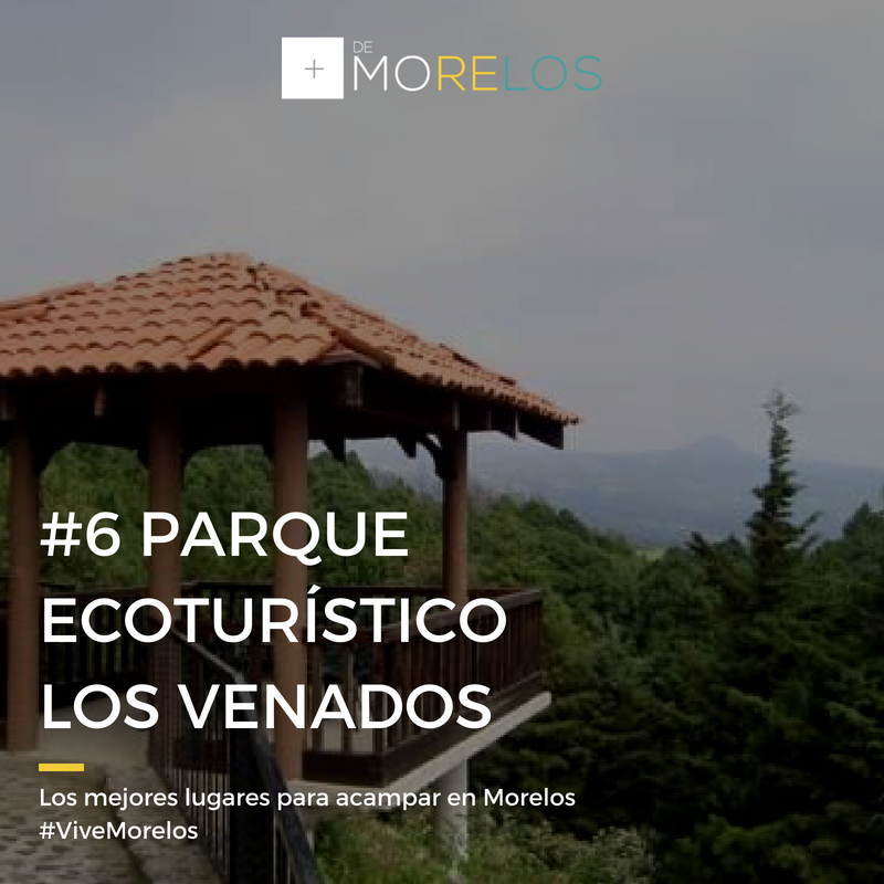 masdemorelos's tweet photo. El parque de los venados es ese tipo de lugares que te inspira a disfrutar de lo natural que aún tenemos...
#ViveMorelos 🌳🍂✔️🙌 https://t.co/PuuZei4Qge