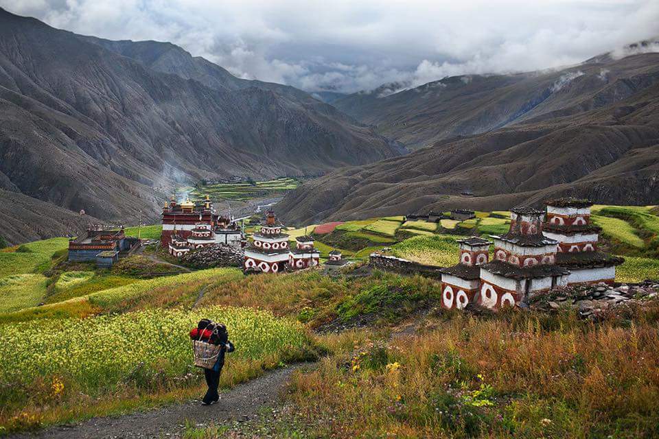 Exploreworldew's tweet photo. Discover best of Dolpo Valley and shey Phoksundo Lake
#offthebeaten #monsoonTravel #dolpo #virgintrail
Please share and πFollow π³π΅π to promote this campaign https://t.co/nRireS1Zep