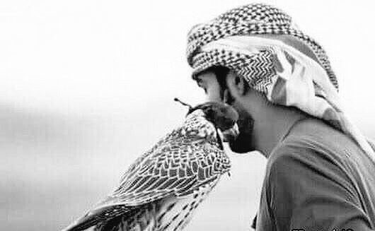 صعب المنال ...! tweet media