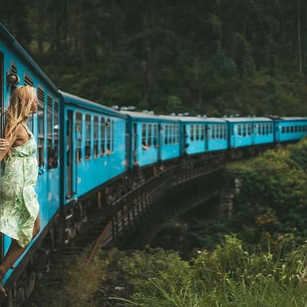 travelsrilanka2's tweet photo. Ella in Sri Lanka is a small laid back town surrounded by the beautiful greens of tea. There are a lot of things to do in Ella.
#Ella #EllaSrilanka #Ninearchbridge #miniadamspeak #ellarock #rawanacave #rawanaellawaterfall #travelsrilanka #visitsrilanka #srilanka https://t.co/LBi4kj1ZO3