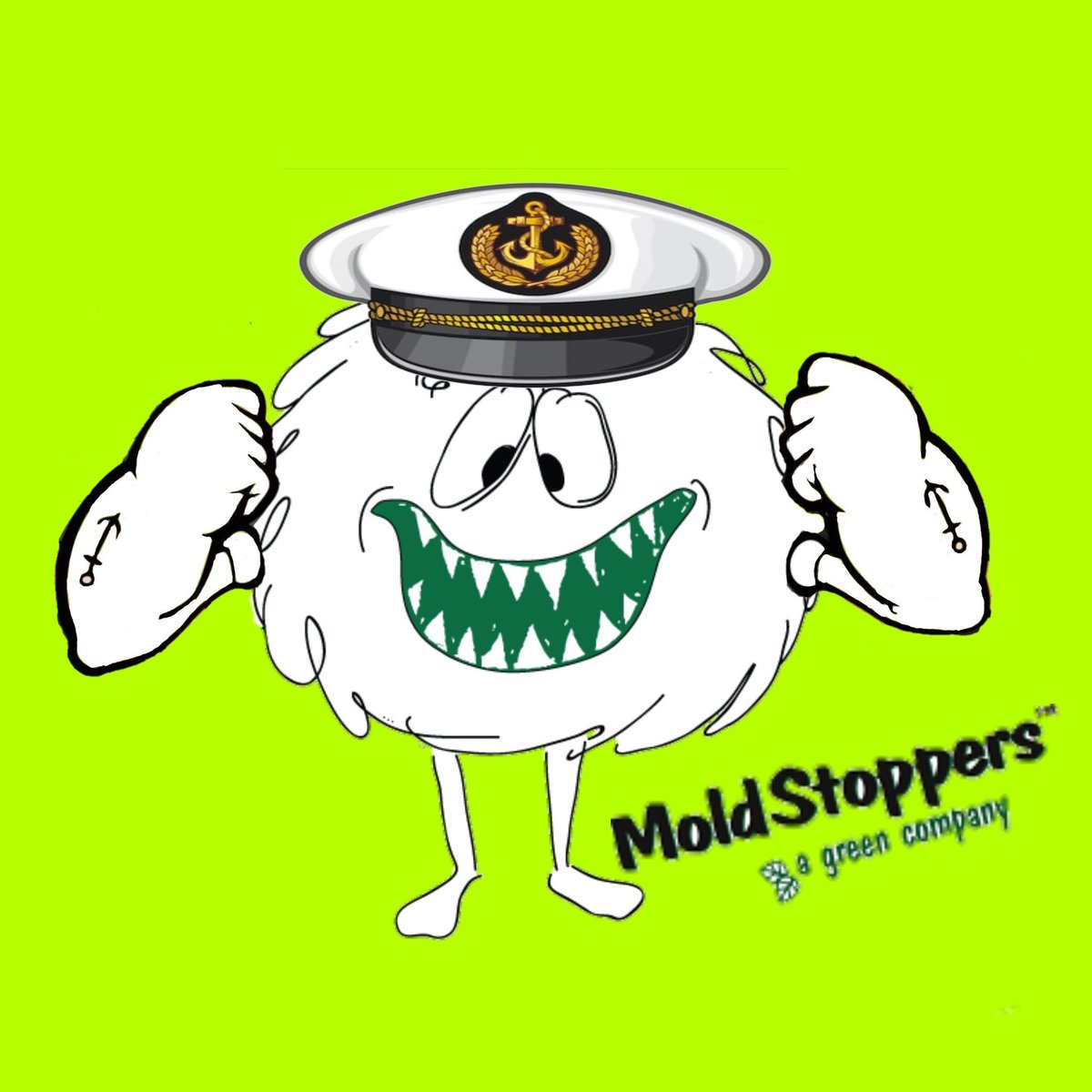 We are now doing mold remediation on any and all boats. Call us for a free inspection.