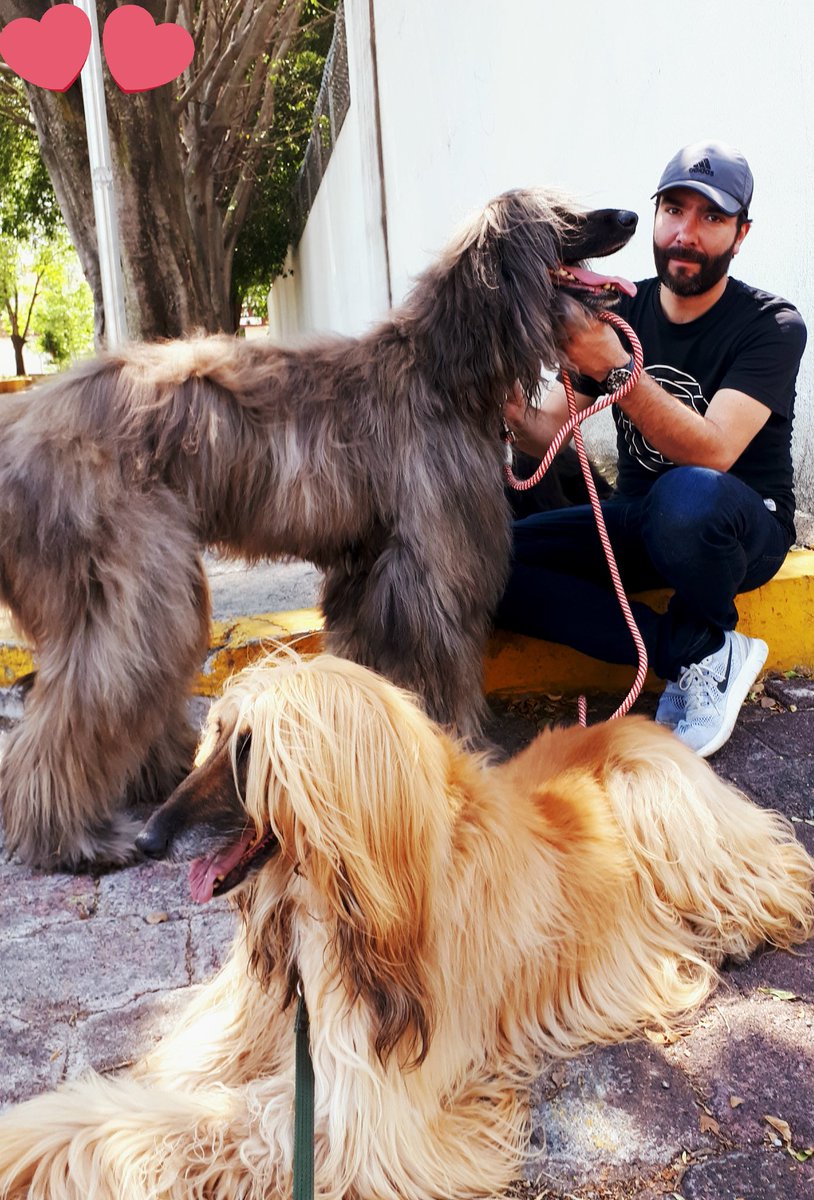 JavierVeHa's tweet photo. Que felicidad 😍 https://t.co/A5XMGqM1Uh