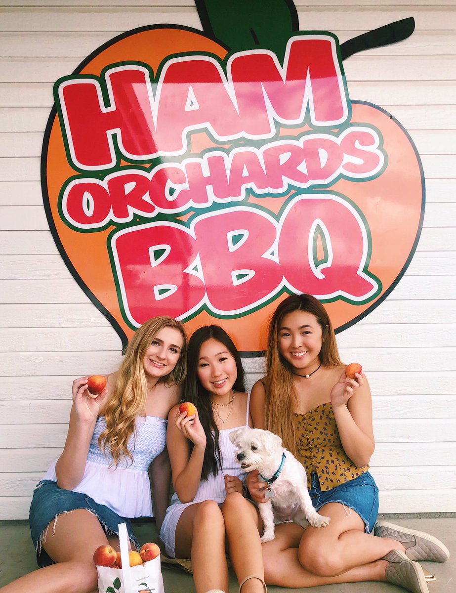 ashlee73100's tweet photo. a little late but happy birthday to the one and only @danasung1!! love you so much &amp; don’t know what I’m gonna do without you next year:( https://t.co/FArLFhvBwj