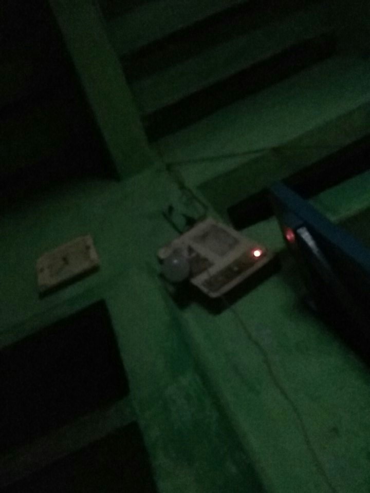 mohan tiger (@mohan62746032) on Twitter photo 