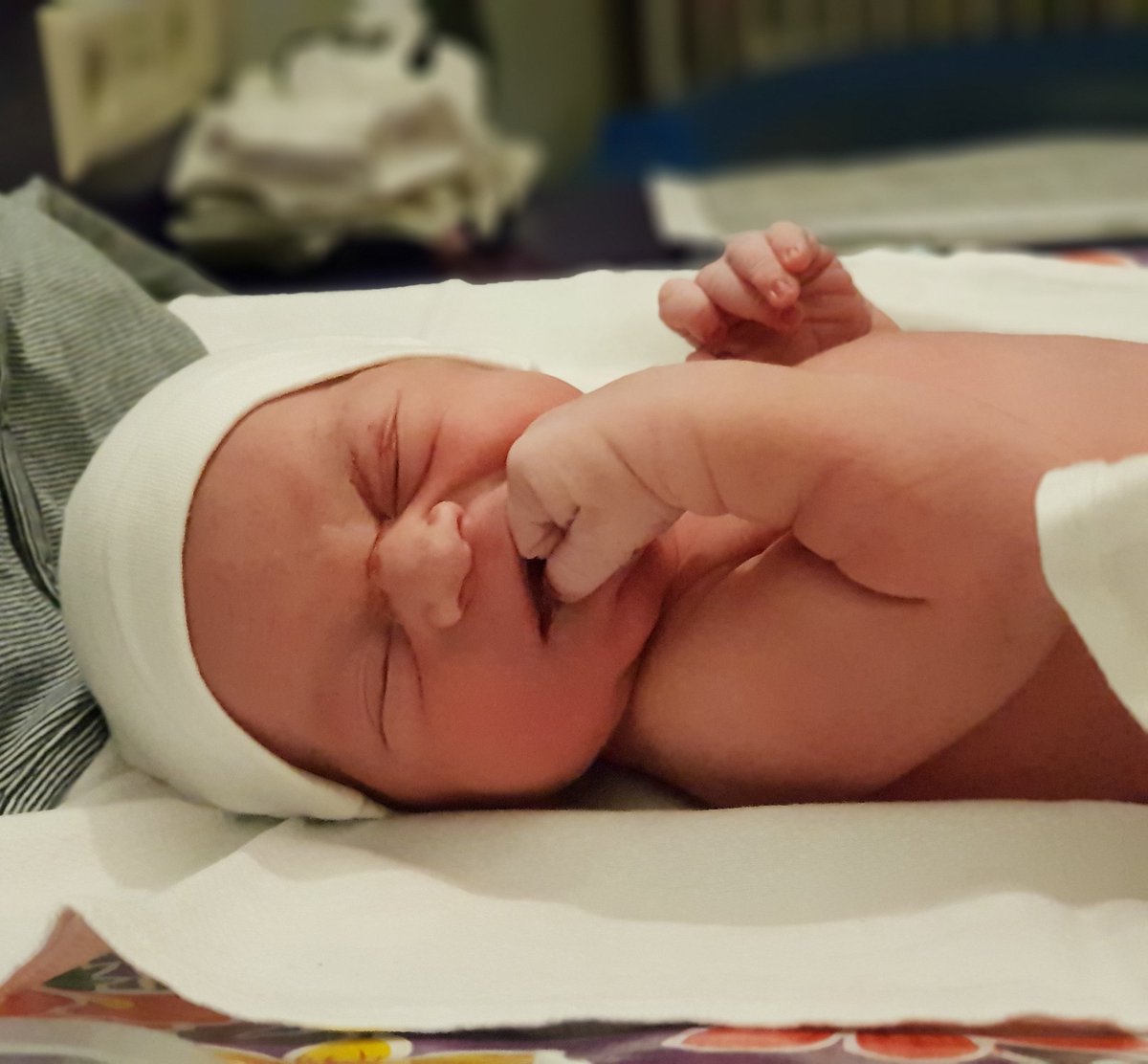 James is ready to win your hearts!

Utrecht
19-07-2018
22.31h
3820g