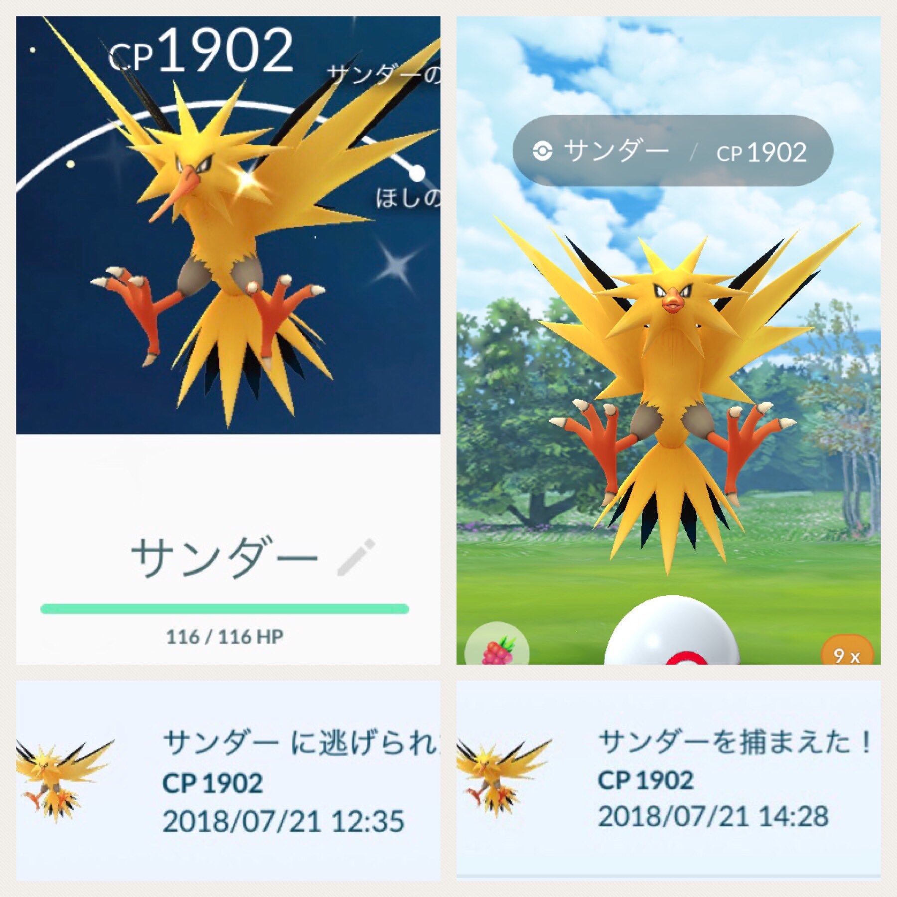 ゆう ポケgo Stepn Twitter இல உள ள ர サンダー100 逃げられてクソ萎えてたら 色違い100 きました 初の色違い100 はめっちゃ嬉しい サンダー デイ ポケモンgo Pokemongo T Co Du3godf9ig Twitter