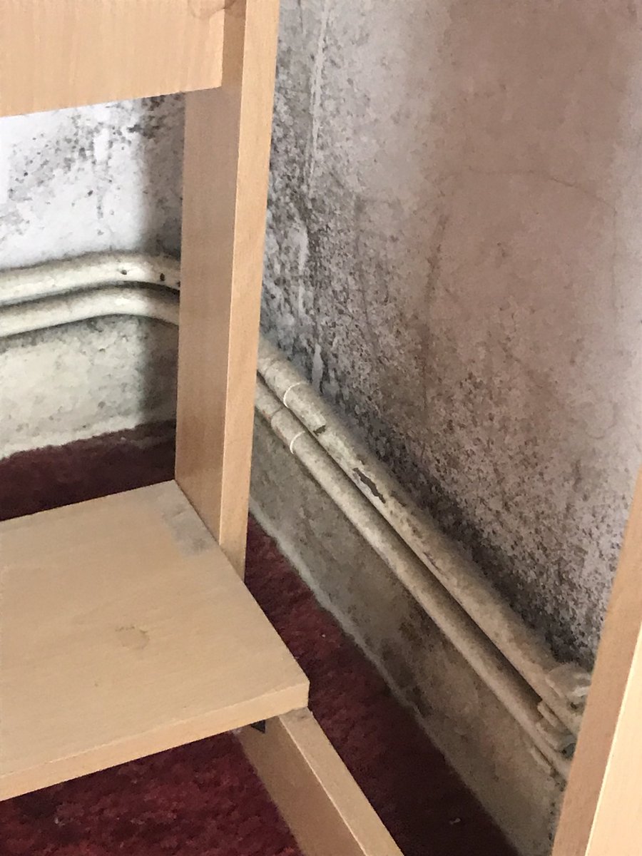 Spotless_DT2's tweet photo. Our #specialist #cleaning teams can remove #mould #improveyourhome https://t.co/6amye4Pr2s