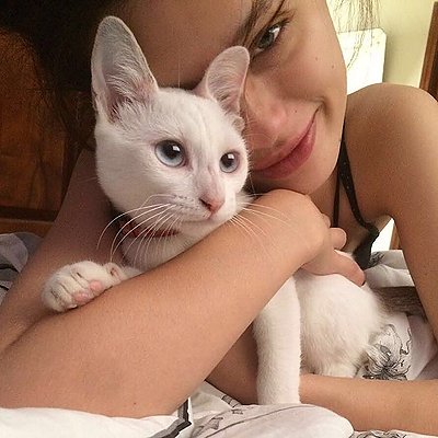 PothcadSis's tweet photo. i stole a cat

no i didnt i just found her in an alleyway so naturally i kept her https://t.co/S7UIPJJS31