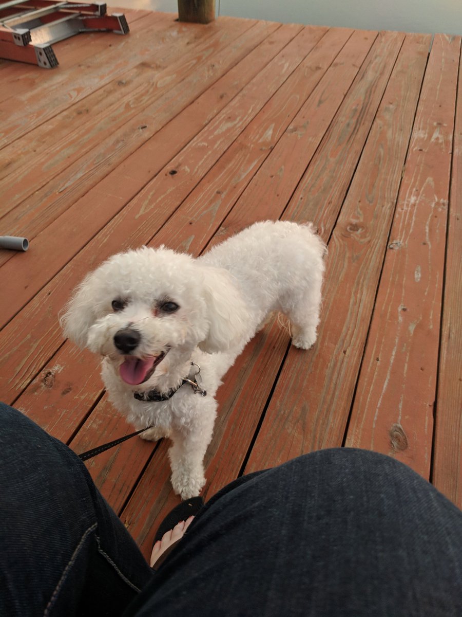 roo_book's tweet photo. I'm mmy and daddy took me so long took me somewhere beautiful....would you agree?!? https://t.co/nDdPkuaBuy