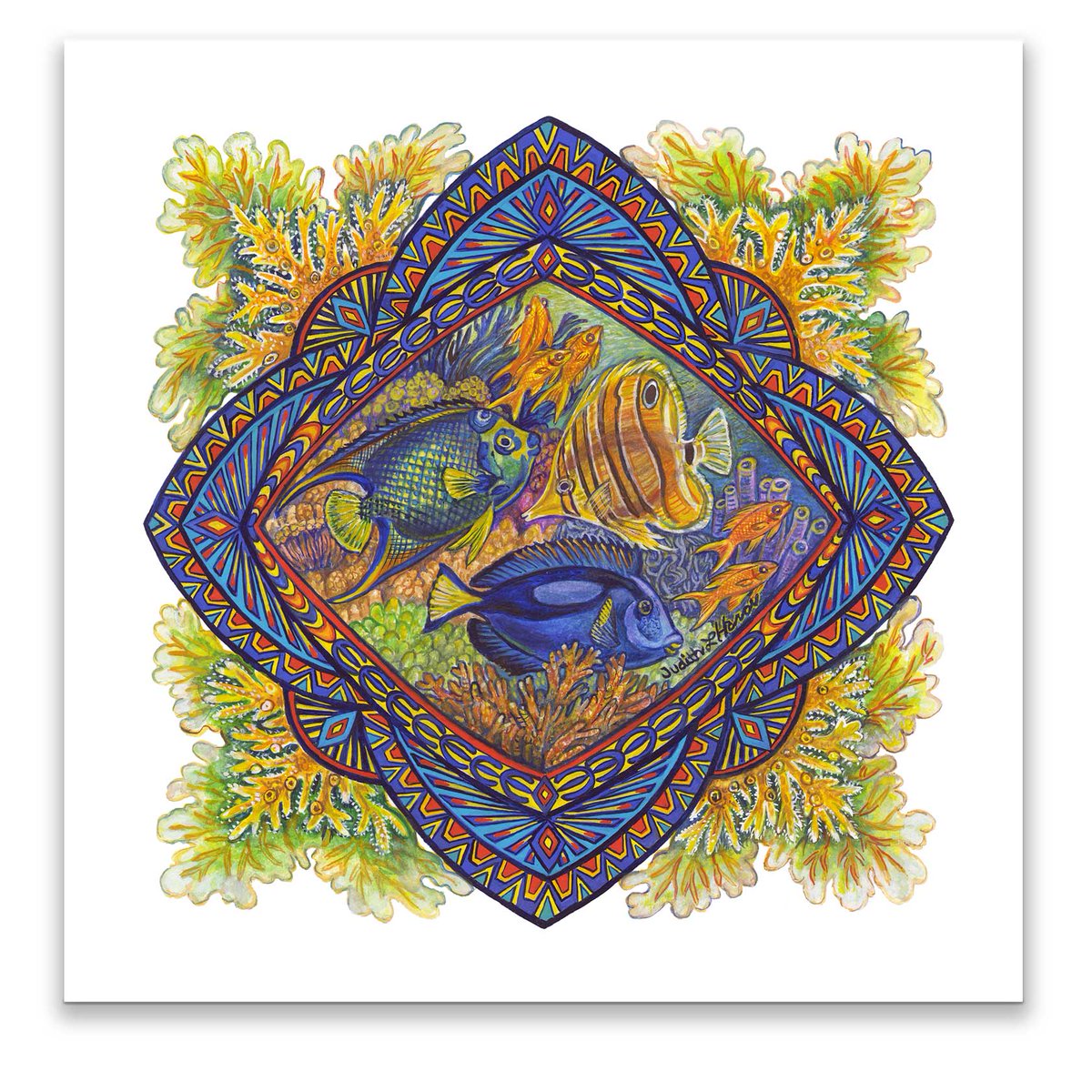 Coral Reef: Are critically #endangered around the world &amp; disappearing at an alarming rate Barrier Reef has lost up to 90% of its coral since the Industrial Revolution Threats include pollution overfishing invasive species changes in temperature &amp; more <a href="/ESTArtDecor/">ESTArtDecor</a>