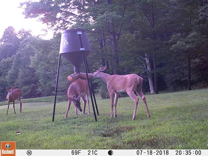 Cody Barrett tweet media