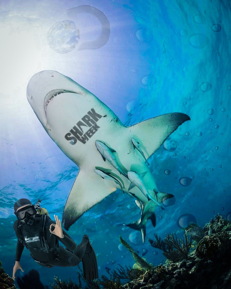 k2designe's tweet photo. @SharkWeek @tudiscovery @discoveroceania @tudiscovery #sharkweek #shark #k2_designer #K2Designer #disvovery https://t.co/nVr7jZb3Gm
