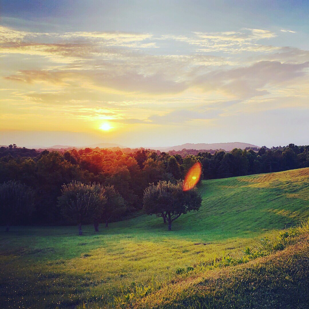 SecBarbie's tweet photo. Perspective. #streamingeagle #summertoremember https://t.co/i2izIcjoLm