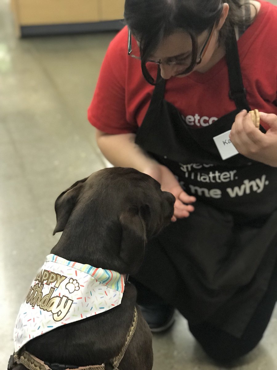 Ararus13's tweet photo. Petco for the win on Tele’s bday! They treated her like royalty 👑 and gave here a pound a treats! #PetcoParty https://t.co/svM25NmQb7