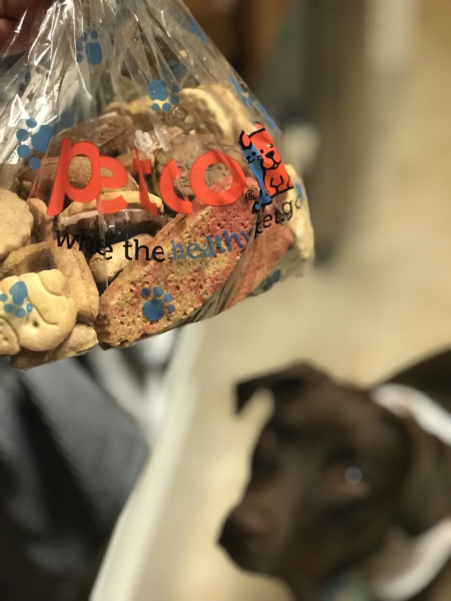 Ararus13's tweet photo. Petco for the win on Tele’s bday! They treated her like royalty 👑 and gave here a pound a treats! #PetcoParty https://t.co/svM25NmQb7
