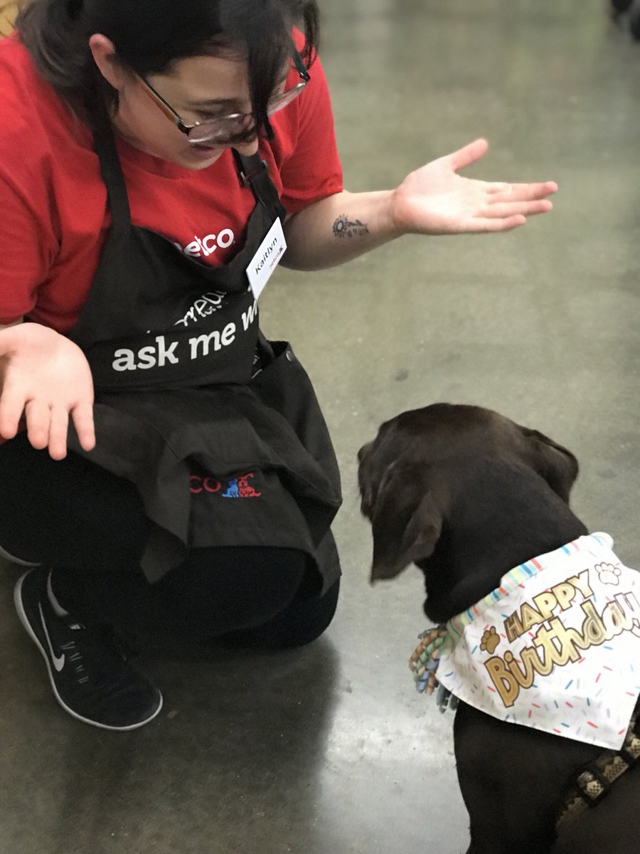 Ararus13's tweet photo. Petco for the win on Tele’s bday! They treated her like royalty 👑 and gave here a pound a treats! #PetcoParty https://t.co/svM25NmQb7