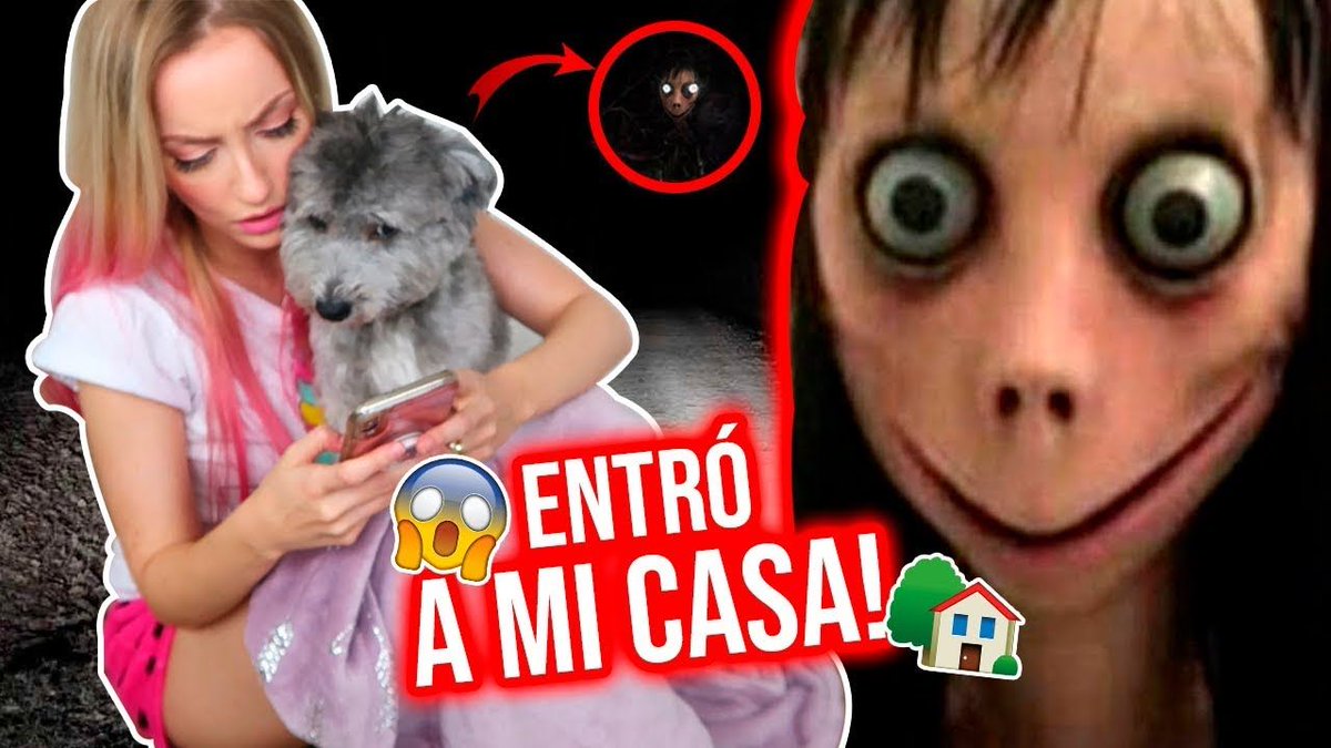 IamKatieAngel's tweet photo. Ya tenemos nuevo vídeo en #KatieAngelTV que miedo!!!... 
Mira porqué NUNCA debes contactar a MOMO 😭😱 https://t.co/PD9YDGNA7h https://t.co/7vliydf1gD