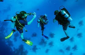 BaliFunService's tweet photo. Diving course #diving #course #underwater #photography #balidiving #PADIdive #travel https://t.co/d2Ib08QBv2 https://t.co/jhx0dWLC8l