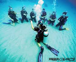 BaliFunService's tweet photo. Diving course #diving #course #underwater #photography #balidiving #PADIdive #travel https://t.co/d2Ib08QBv2 https://t.co/jhx0dWLC8l