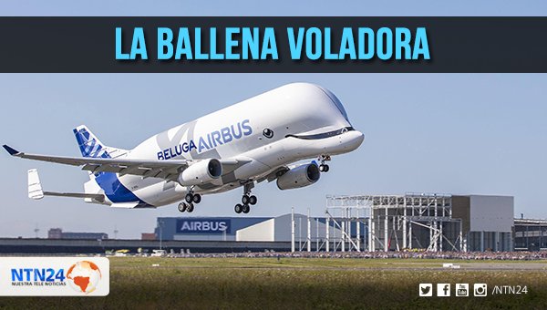NTN24's tweet photo. 🎥[#FRANCIA] Finalizó con éxito el primer vuelo del avión con innovador diseño de ballena https://t.co/YmN5gHBSkb https://t.co/ugTXB17e17