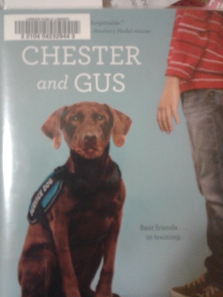 TeacherSnooks's tweet photo. Stuff that "all good chapter books have" according to my 8 yo: surprise, a difficult problem for characters to work on, mean characters, good characters, mysteries, problems, fights, and animals. She adds: Good books don't have to have all of these, just some to be good. https://t.co/ShhJgAZ9Vl