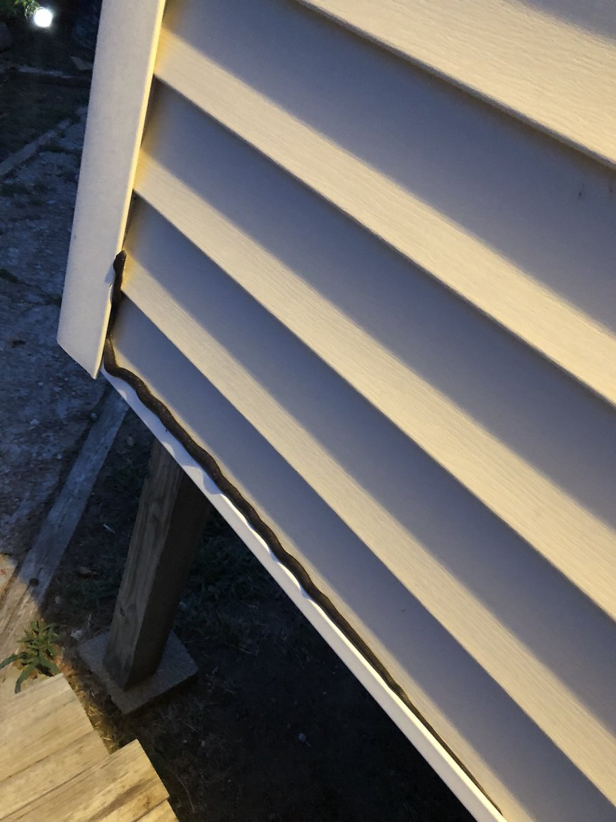 buckaloosa's tweet photo. Snake on our back porch! https://t.co/YD4AqEOduP