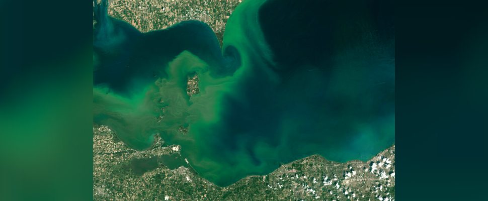 ICYMI: Efforts to clean Lake Erie get funding boost.  blackburnnews.com/chatham/chatha… https://t.co/4fwmxa6cGc