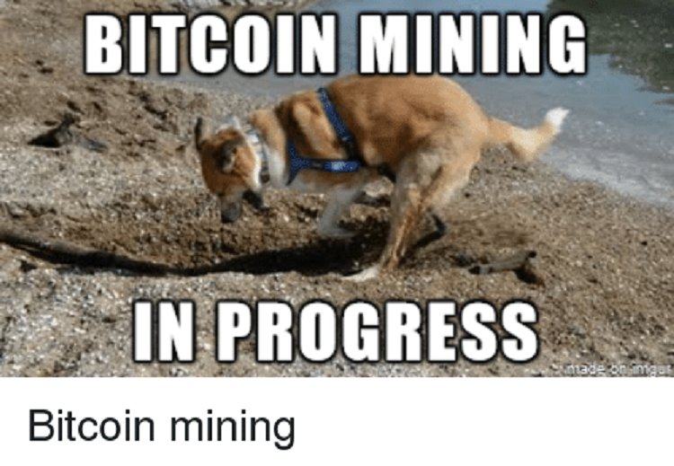 NewsCryptoCoins's tweet photo. #Cryptocurrency #BitcoinMeme #Bitcoin #altcoin https://t.co/g8s7jnw0tG
