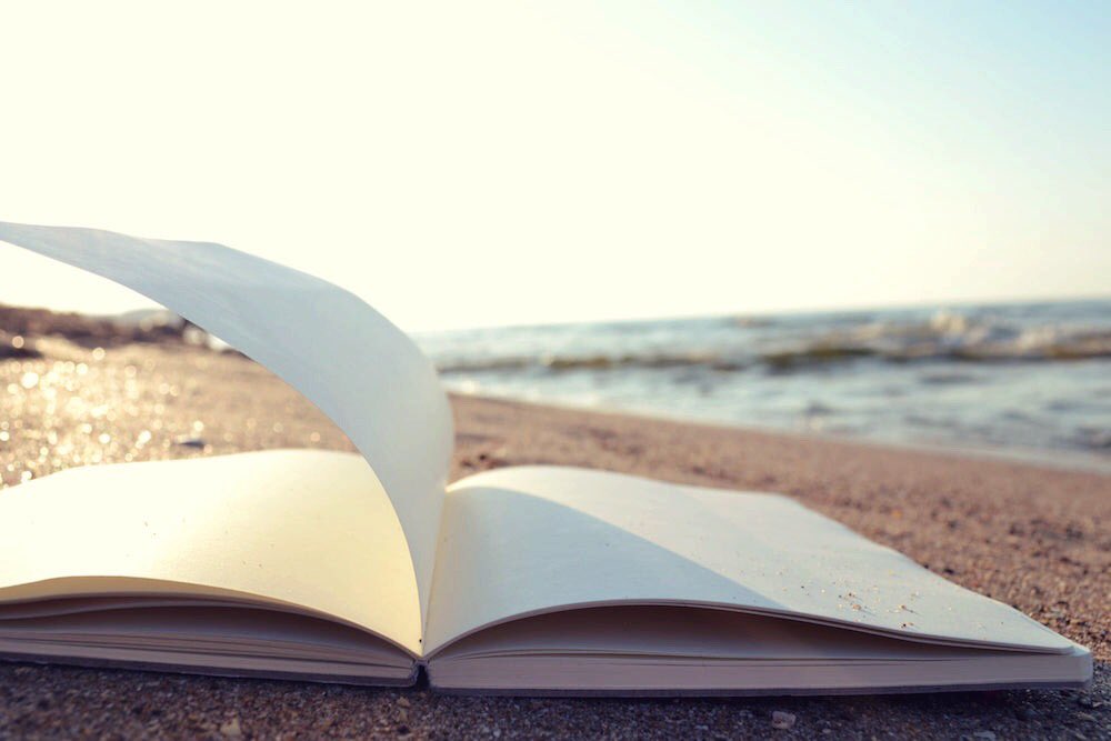 KarenKingsbury's tweet photo. What are you reading this weekend? 📖💙 https://t.co/gcNYRkVhJC