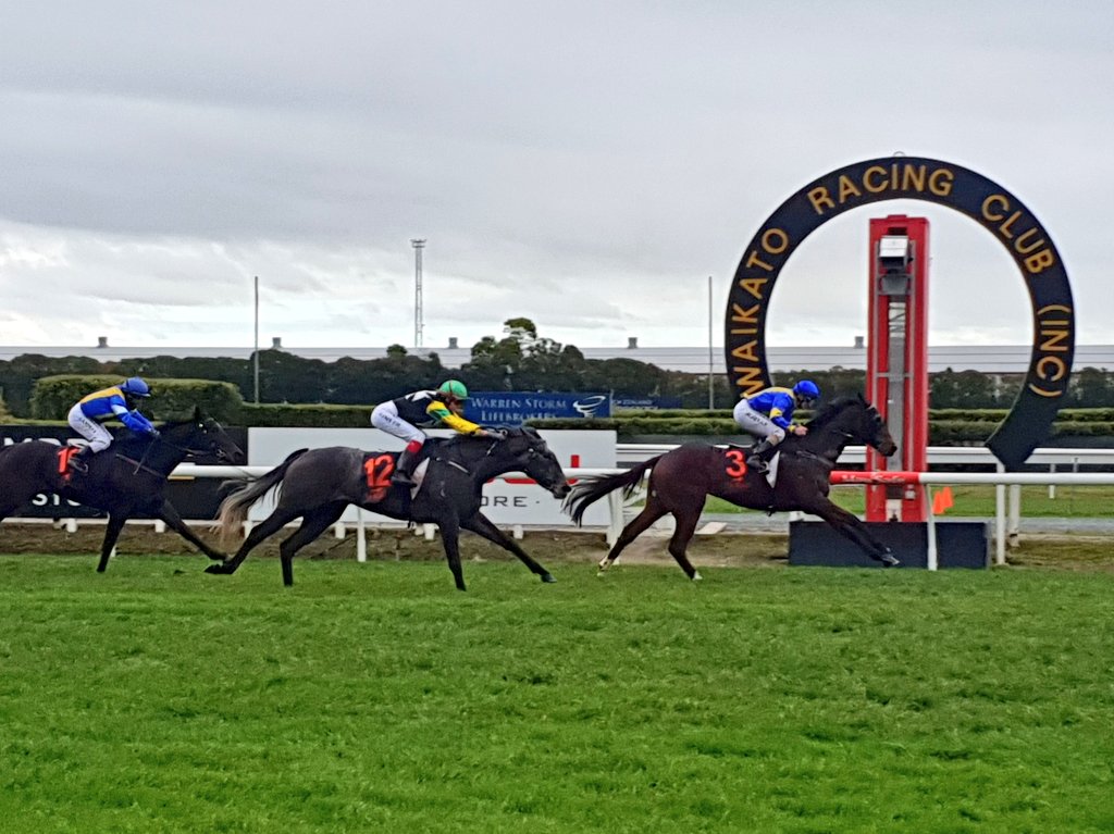 Waikato Racing Club (TeRapaRacing) Twitter