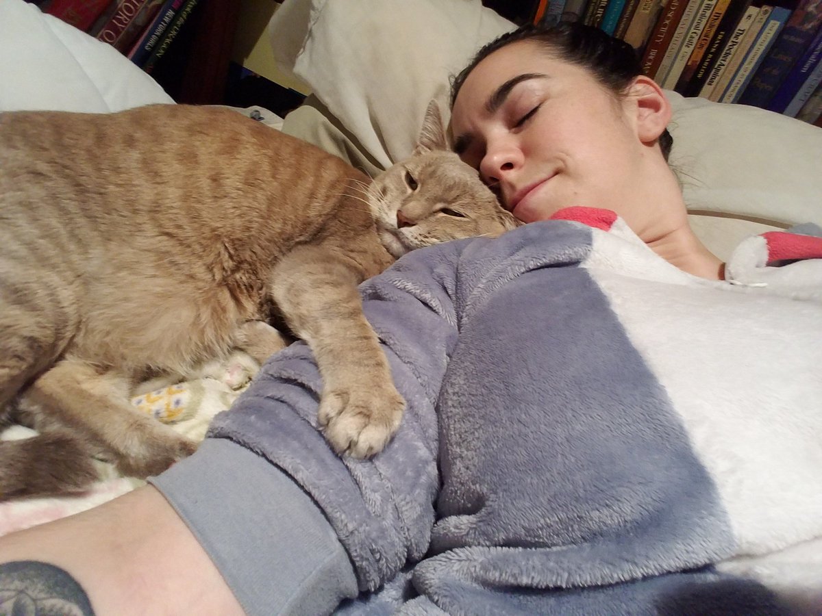 Ms_CandyApples's tweet photo. @bonniegrrl @hollyamos22 We are enjoying our quiet weekend at home too and #NotComicCon https://t.co/pgI6NGwQDS