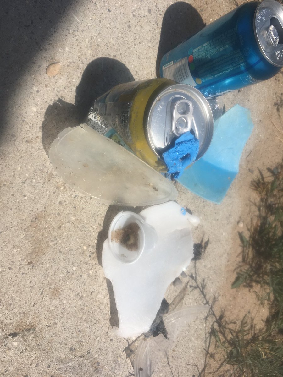 Blueboydetroit's tweet photo. Took a walk along the beautiful Peterson’s Beach on Lake Michigan this morning. Took a leaf out of 40ocean’s book and did our bit to clean up the lakes #40ocean #puremichigan https://t.co/YzmYjH5IuT