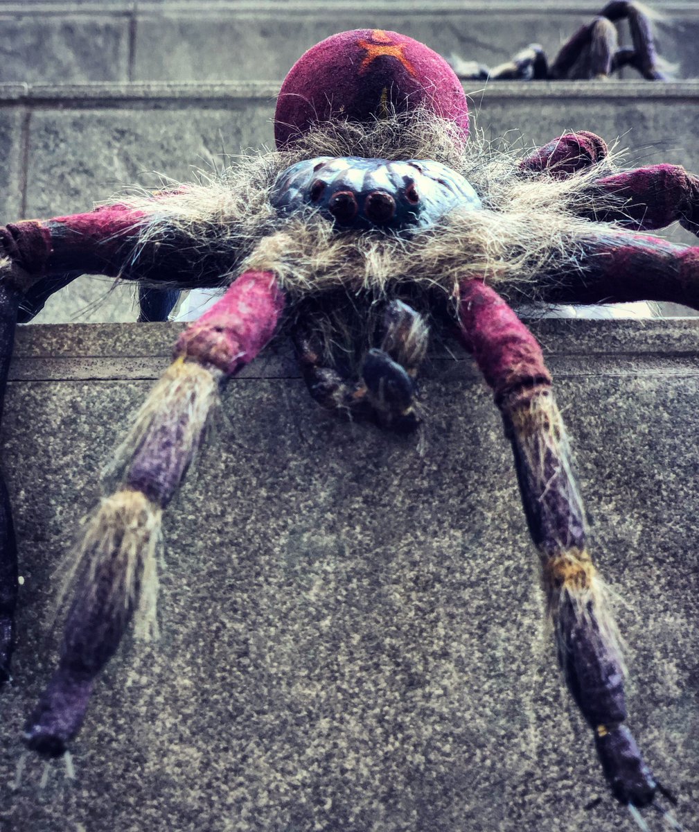 SFHHOF's tweet photo. #freakyfriday #bigbob #arachnophobia #spiders #horror #fears #scream #phobia #terror #fridaynight #tgif #hatch #eggs #hairyspider #biggiestspider #bigspider https://t.co/jxvyFBDpr1