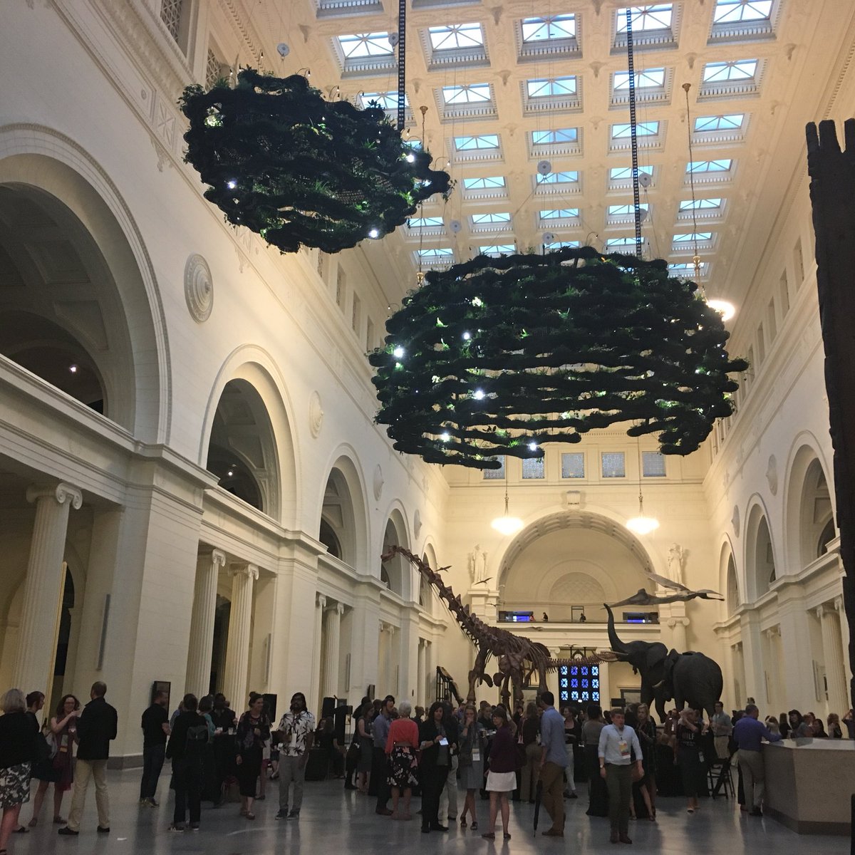 eabolander's tweet photo. Loved the hanging green art @FieldMuseum! Thanks for hosting us #vsa2018 #vsa18 #amm2018 https://t.co/bTJH3lRYwF