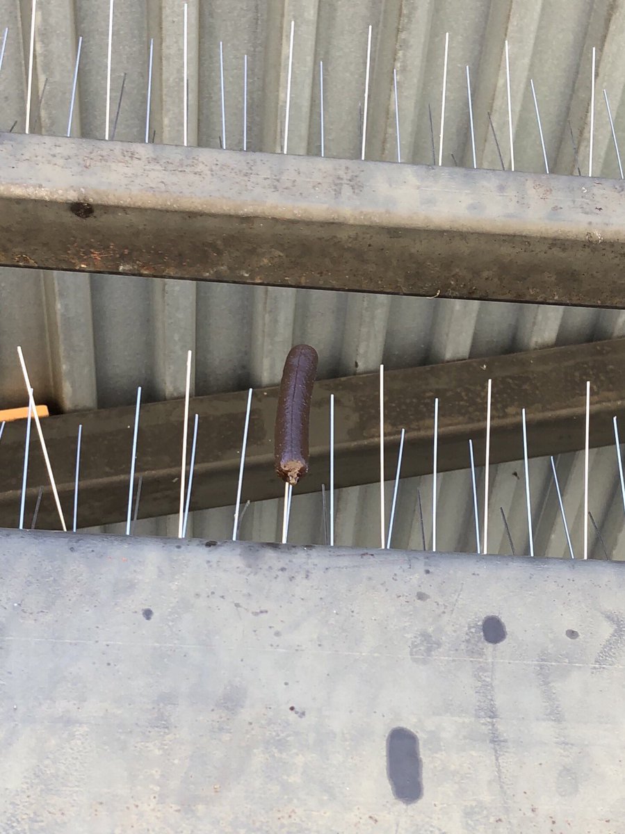 SchulzScottA's tweet photo. When you look up as you enter your school and see a remnant of last year’s senior prank....  #TRWarriors #ClassOf2018 https://t.co/JkNTacOObw