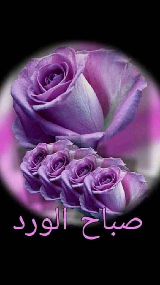 eFg44sQLfO2dXVQ's tweet photo. @zahraa867 @FXm7SxmawE03qHG @nadaaAlhussainy @sami5sm @ab_______as @NoorlLmoswy @A_HMA_D90 @noorali271 @gDUFDK28fBjyHp8 @alrafidi6  https://t.co/vX0aZdxGaM