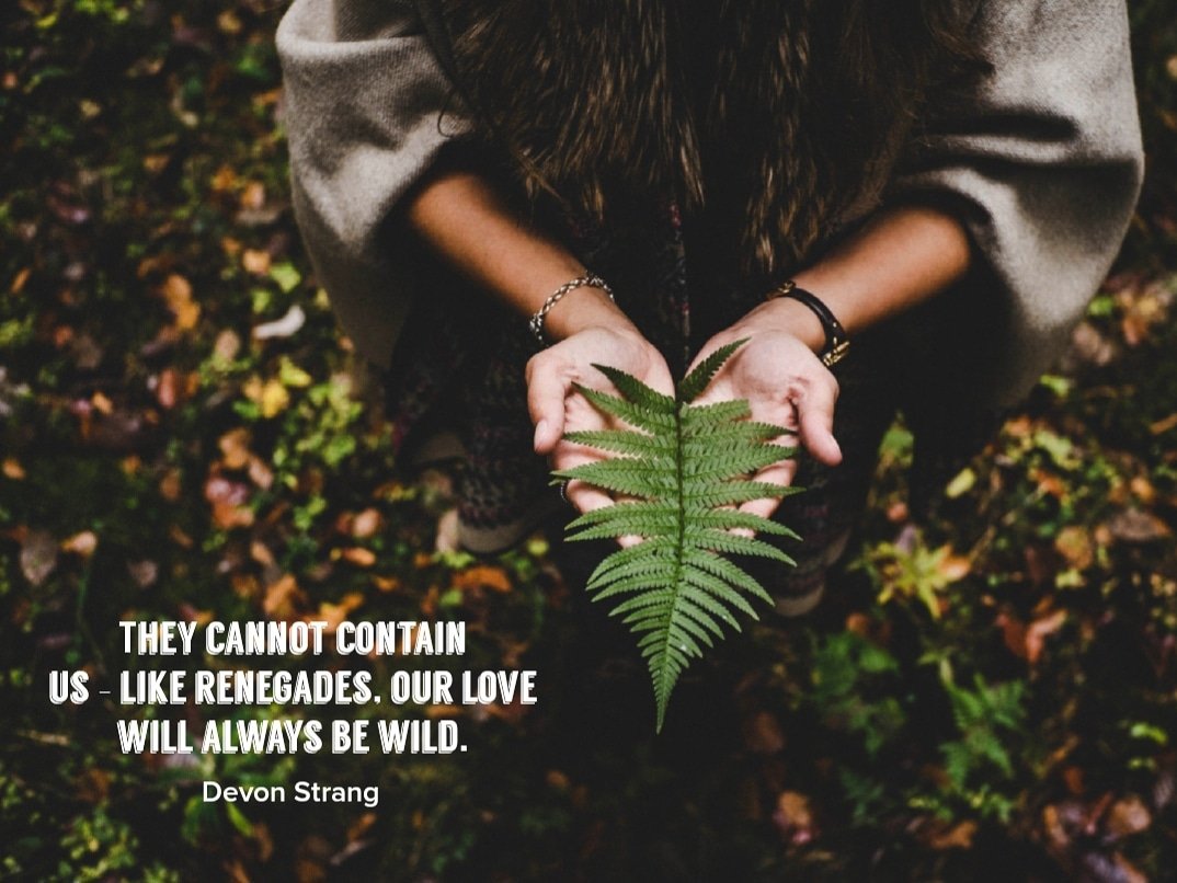 devonstranger's tweet image. Daily Haiku 1080. (c) Devon Strang #haiku #dailyhaiku #devonstrang #poet #poem #poetry #write #writer #writing #words #wordporn #love #lovepoem #lovequote #renegade #renegades #wild #lovewild #wildlove #free #freedom